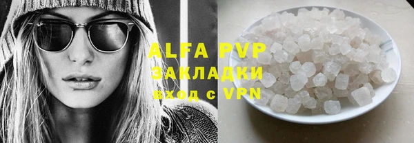 прущие грибы Алзамай