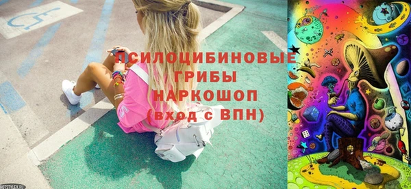 прущие грибы Алзамай