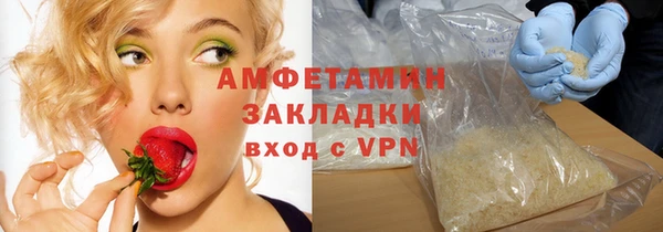 прущие грибы Алзамай