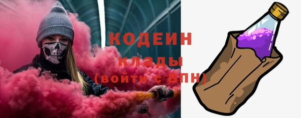 прущие грибы Алзамай
