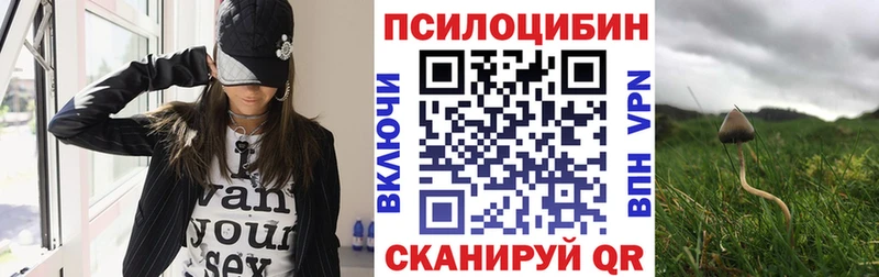 ОМГ ОМГ вход  продажа наркотиков  Енисейск  Псилоцибиновые грибы прущие грибы 